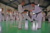 nidan (217)_samu.gif